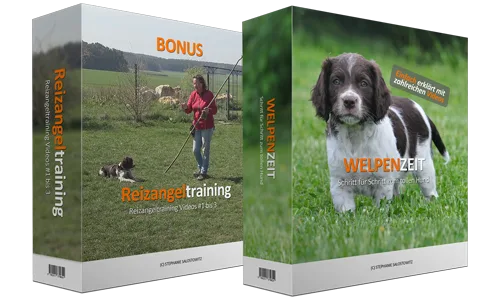Produktbild: Welpenzeit: Schritt für Schritt zum tollen Hund