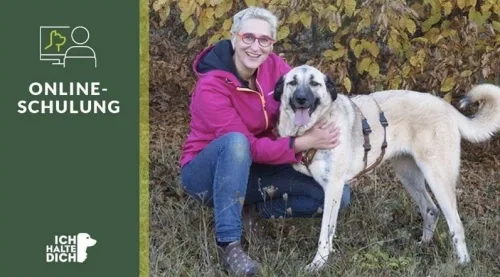 Produktbild: Wecke den Optimisten in deinem Hund (Online-Schulung)