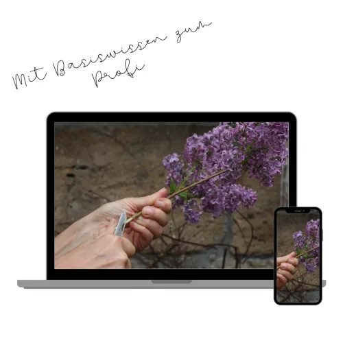 Produktbild: 1x1 Floristik: Mit Basiswissen zum Profi