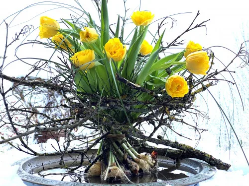 Produktbild: 1x1 Floristik: Vielfalt der Sträuße