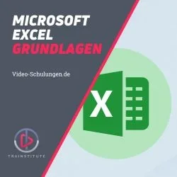 Produktbild: Microsoft Excel Grundlagen (Video-Kurs)